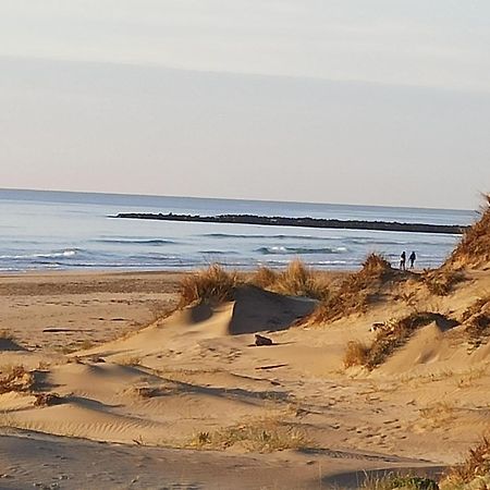 T2 Rdc Avec Jardin, Cap D'Agde, Secteur Falaise, 100 M Plage, Clim, Wifi, Parking Exteriör bild
