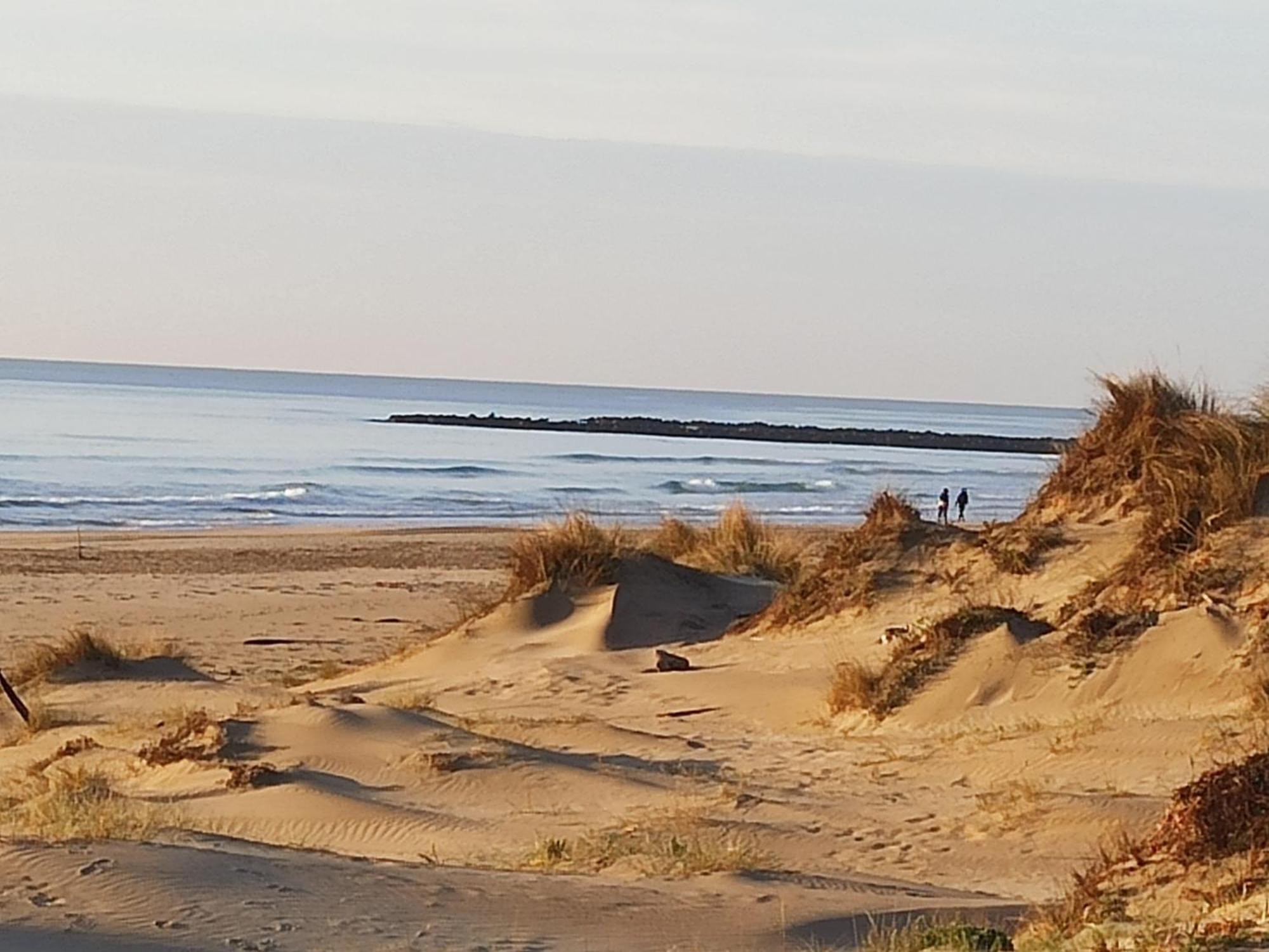 T2 Rdc Avec Jardin, Cap D'Agde, Secteur Falaise, 100 M Plage, Clim, Wifi, Parking Exteriör bild